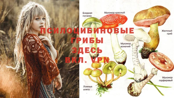 прущая мука Алексин